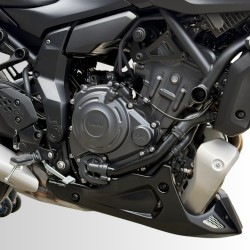 8902Z09 : Ermax Engine Guard 2025 Yamaha MT-07